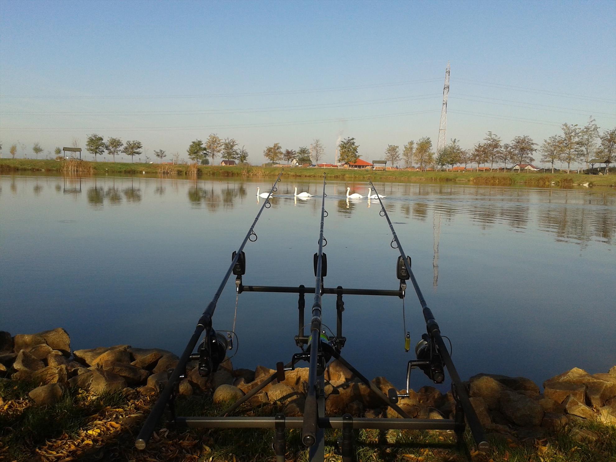 1 - 2013-10-19-1058191.jpg